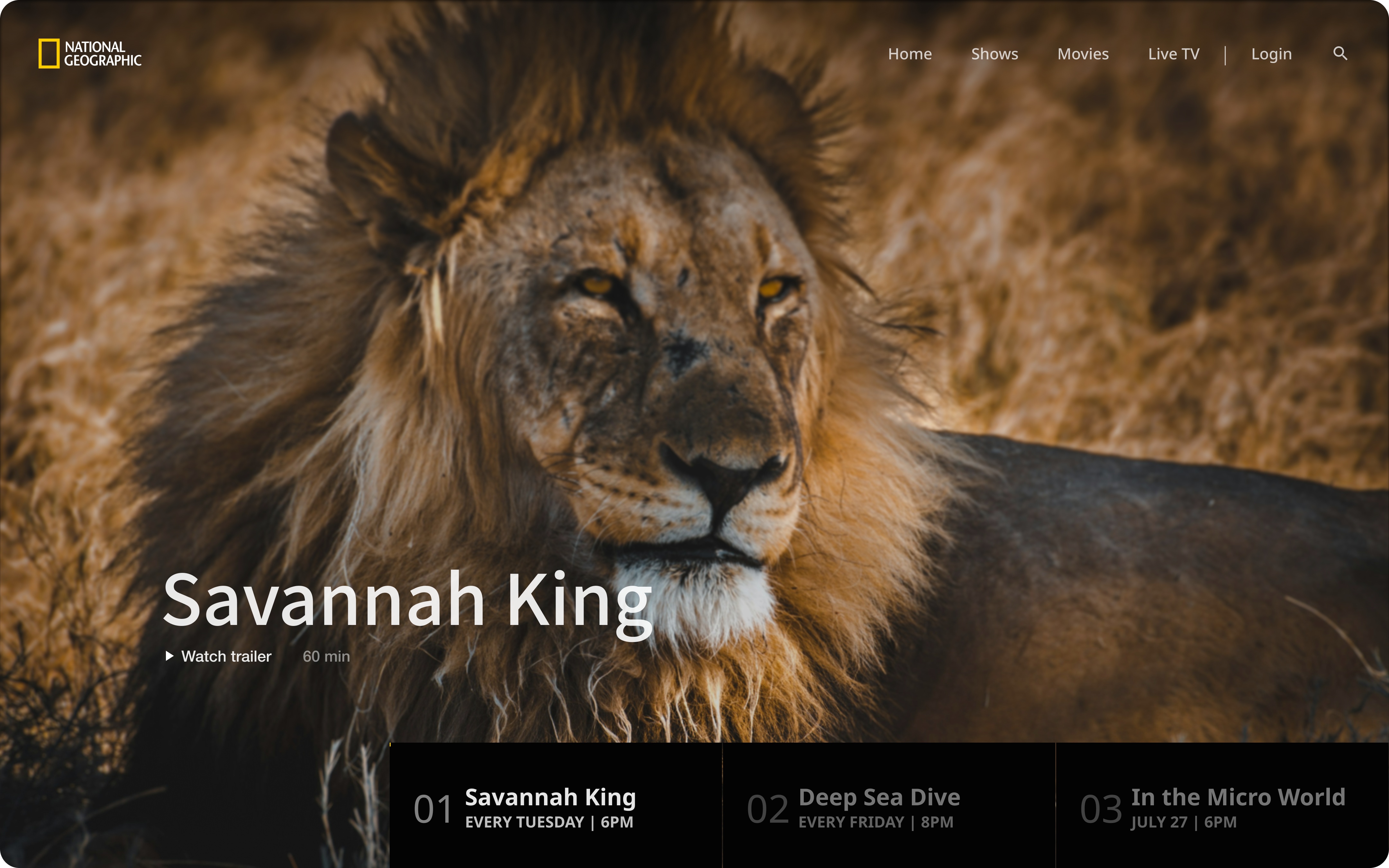 National Geographic Animated Schedule Website